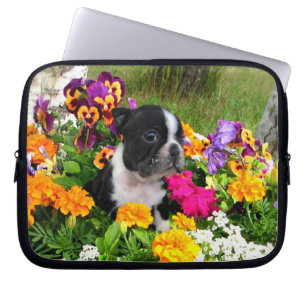 Housse Pour Ordinateur Portable Terrier de Boston