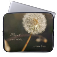 Tête de graines de Dandelion en tons Brown