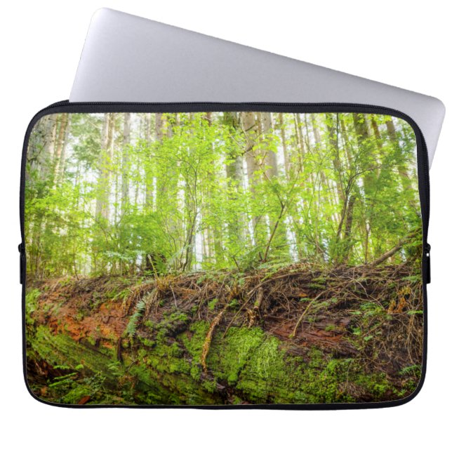 Housse Pour Ordinateur Portable Tiger | Issaquah, État de Washington (Devant)