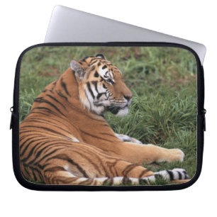 Housse Pour Ordinateur Portable Tiger Lounge Portable Sleeve