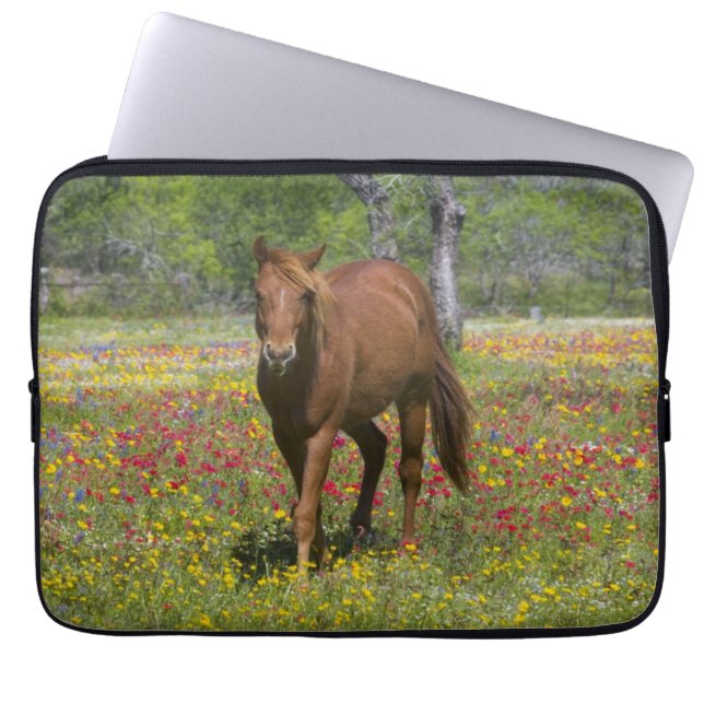 Housse Pour Ordinateur Portable Trimestre Cheval en Champ de Fleur sauvage (Devant)