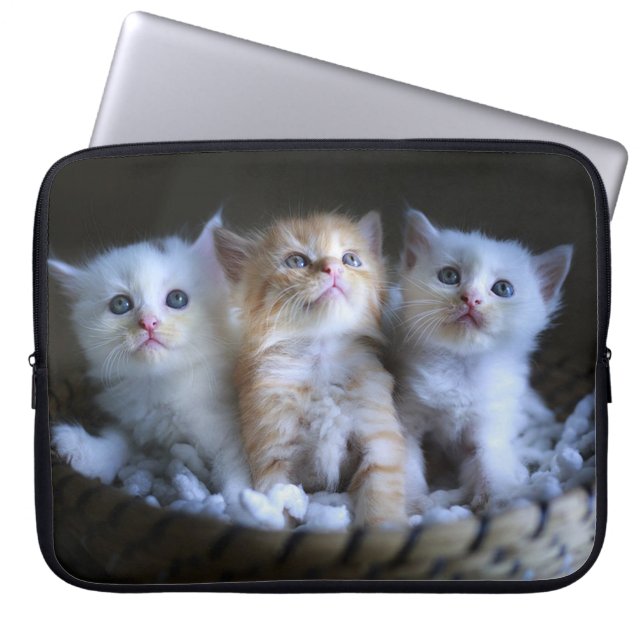 Housse Pour Ordinateur Portable Trois Amigos (Devant)