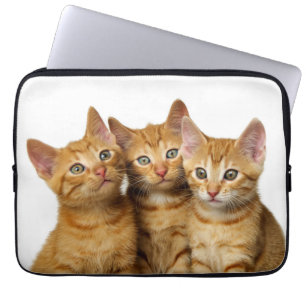 Housse Pour Ordinateur Portable Trois mignons Ginger Chat Kittens amis Photo de la