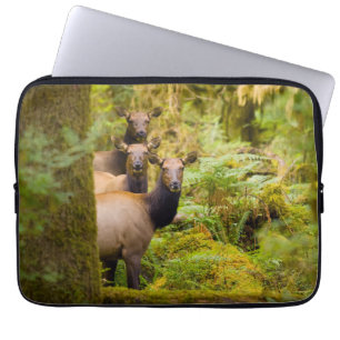 Housse Pour Ordinateur Portable Trois vaches élans Roosevelt regardant la vue