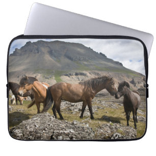 Housse Pour Ordinateur Portable Troupeau de chevaux, près de Hofn, Islande