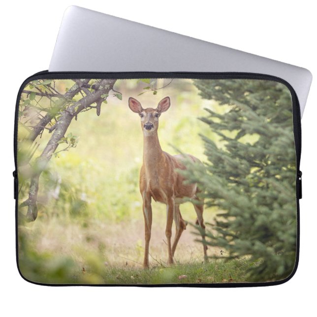 Housse Pour Ordinateur Portable Un cerf solitaire  (Devant)
