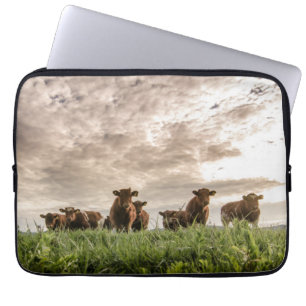 Housse Pour Ordinateur Portable Vaches