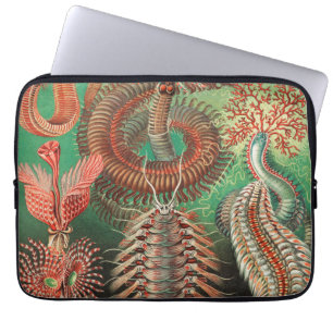 Housse Pour Ordinateur Portable Vers, Annelids Chaetopoda par Ernst Haeckel
