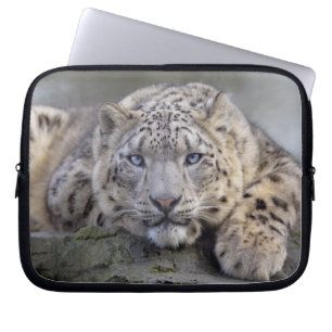 Housse pour ordinateur portable Vishnu Snow Leopar