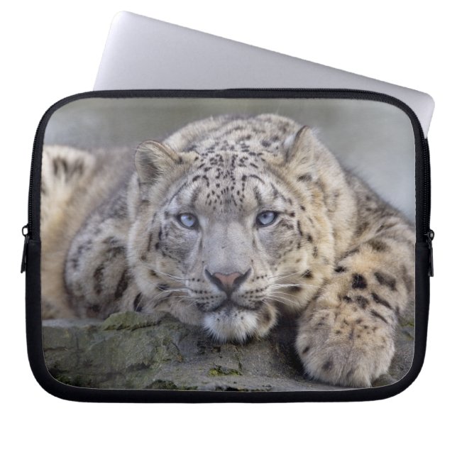 Housse pour ordinateur portable Vishnu Snow Leopar (Devant)