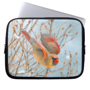 Housse Pour Ordinateur Portable Vol Cardinal Nord - Photo originale
