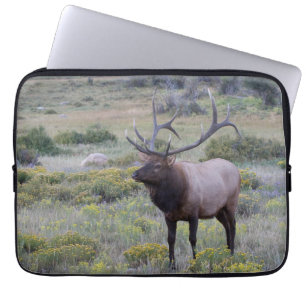 Housse Pour Ordinateur Portable Wapiti d'Amérique   Parc national de Rocky, Colora