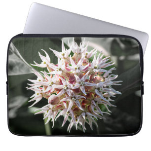 Housse Pour Ordinateur Portable White Showy Milkweed, Photographie Fleur sauvage
