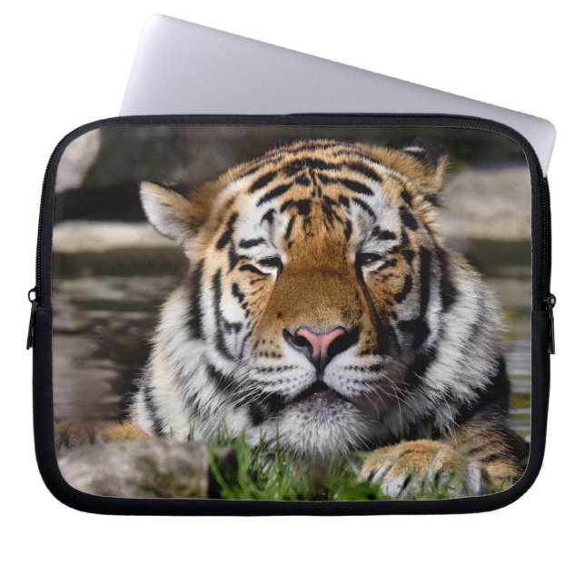 Housse pour ordinateur portable Zambar Tiger (Devant)