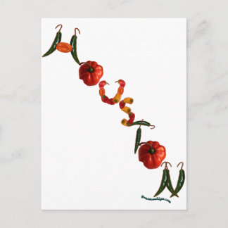 Houston Chili Peppers Briefkaart