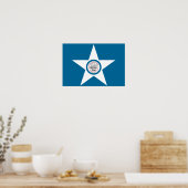 Houston Flag Poster (Keuken)