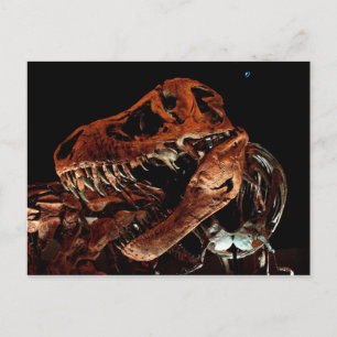 Houston Museum of Natural Science Briefkaart