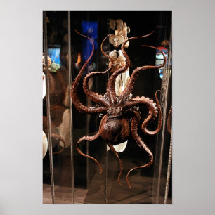 Houston Museum of Natural Science Poster