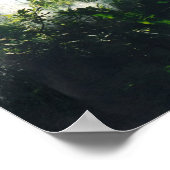 Houston Museum voor Wetenschap en Natuur Poster (Hoek)