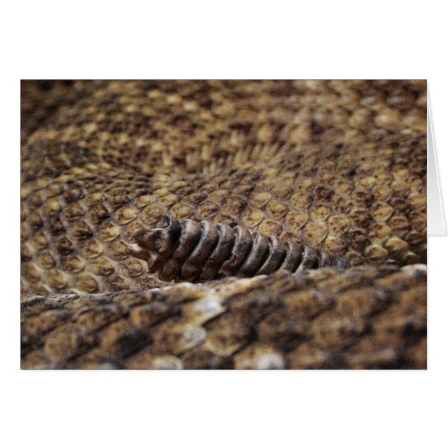 Houston Zoo (Voorkant Horizontaal)