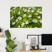 Hout Anemone Poster (Thuiskantoor)