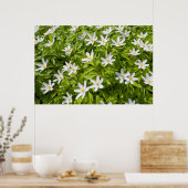 Hout Anemone Poster (Keuken)