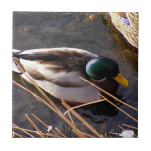 Hout Duck Ceramic Tegel Tegeltje