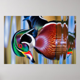 Hout Duck Large Poster, Duck Hunting Poster