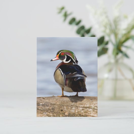 Hout Duck man op log in wetland Briefkaart (Staand voorkant)