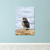 Hout Duck man op log in wetland Canvas Afdruk (Insitu (Houten vloer))
