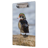 Hout Duck man op log in wetland Klembord (Links)