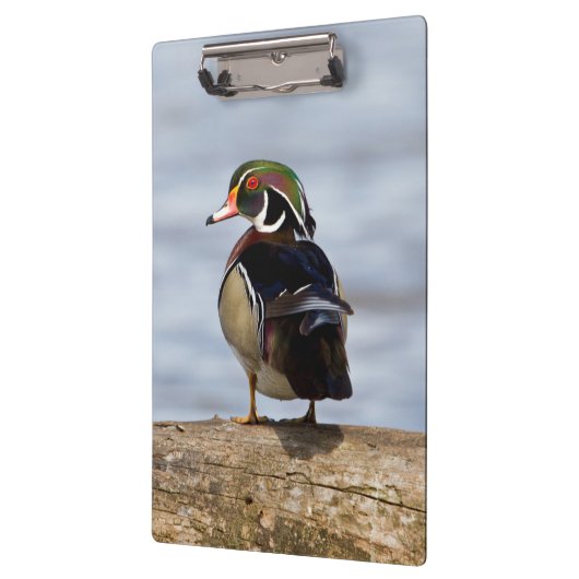 Hout Duck man op log in wetland Klembord (Links)