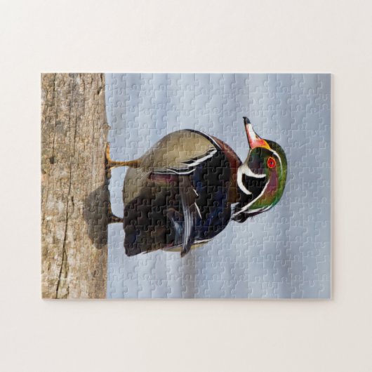 Hout Duck man op log in wetland Legpuzzel (Horizontaal)