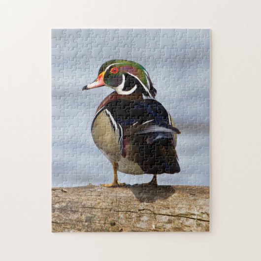 Hout Duck man op log in wetland Legpuzzel (Verticaal)
