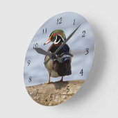 Hout Duck man op log in wetland Ronde Klok (Hoek)