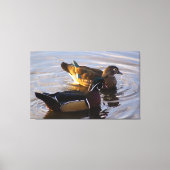 Hout Duck Mates Stretted Canvas Art Print (Voorkant)