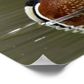 Hout Duck on Water Poster (Hoek)
