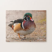Hout Duck op grvel Legpuzzel (Horizontaal)