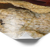 Hout Ear Mushroom Foto Afdruk (Hoek)