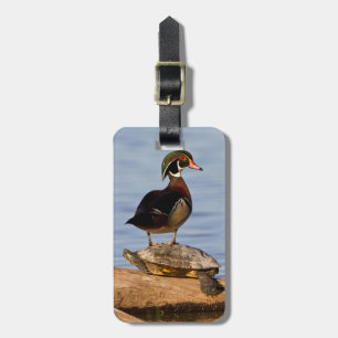 Hout eend mannetje staand op roodwangschildpad bagagelabel