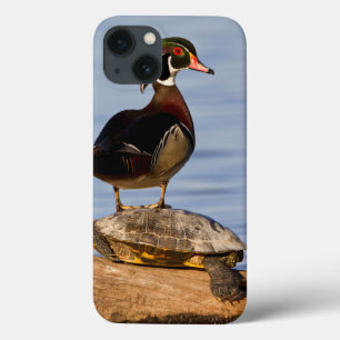 Hout eend mannetje staand op roodwangschildpad iPhone 13 hoesje