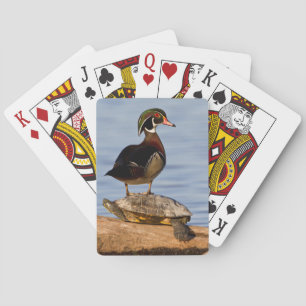 Hout eend mannetje staand op roodwangschildpad pokerkaarten