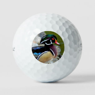 Hout eend schoonheid vogels natuur natuurleven golfballen