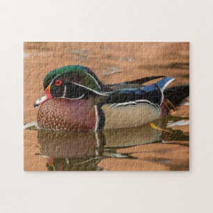 Hout eend zwemt in water legpuzzel