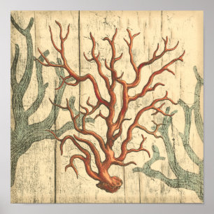 Hout en klein koraal poster