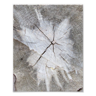 Hout Grain Grey Pine Tree Stump Foto Art 2 Afdruk