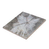 Hout Grain Grey Pine Tree Stump Foto Art 2 Tegeltje (Zijkant)