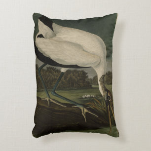 Hout Ibiss (Ibis, Stork): Zuidelijke vogels in Ame Accent Kussen
