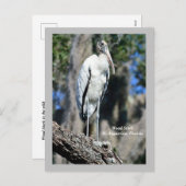 Hout Ooievaar in het wild Feestdagenkaart (Voorkant / Achterkant)
