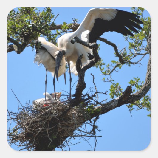 Hout Stork nesting Vierkante Sticker (Voorkant)